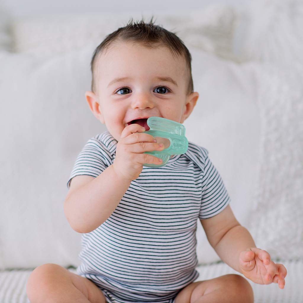 Itzy Ritzy Water-Filled Coordinating Cactus Water Teethers, Set of 3 Green Cacti