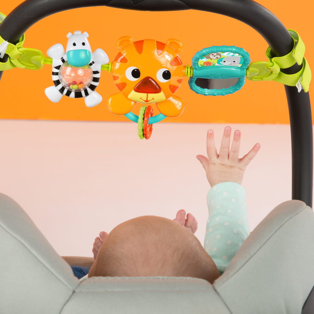 Bright Starts Take Along Musical Carrier Baby Activity Toy Bar, Ages Newborn +