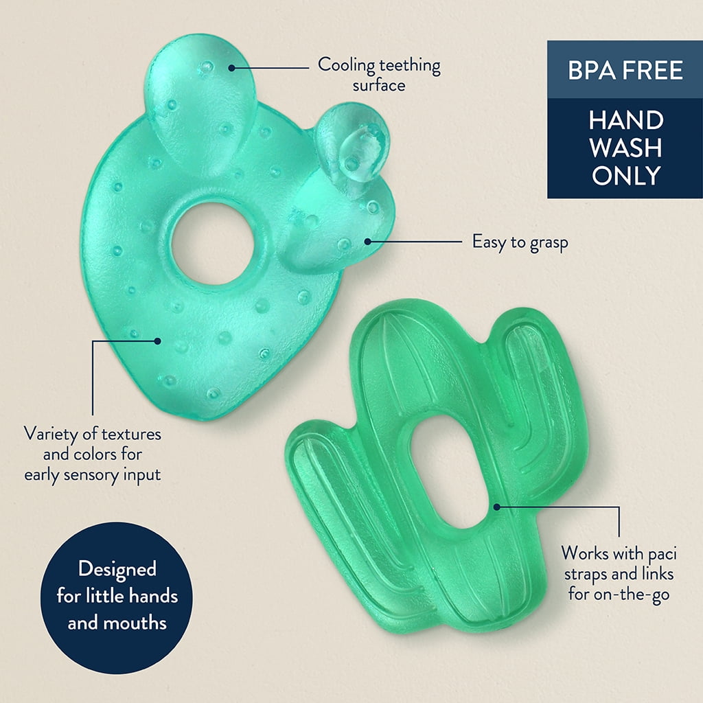 Itzy Ritzy Water-Filled Coordinating Cactus Water Teethers, Set of 3 Green Cacti